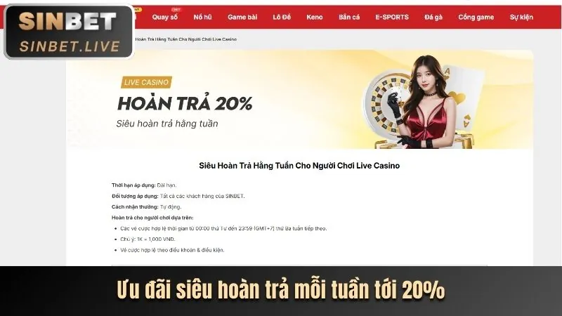 Casino Trực Tiếp tại 5win